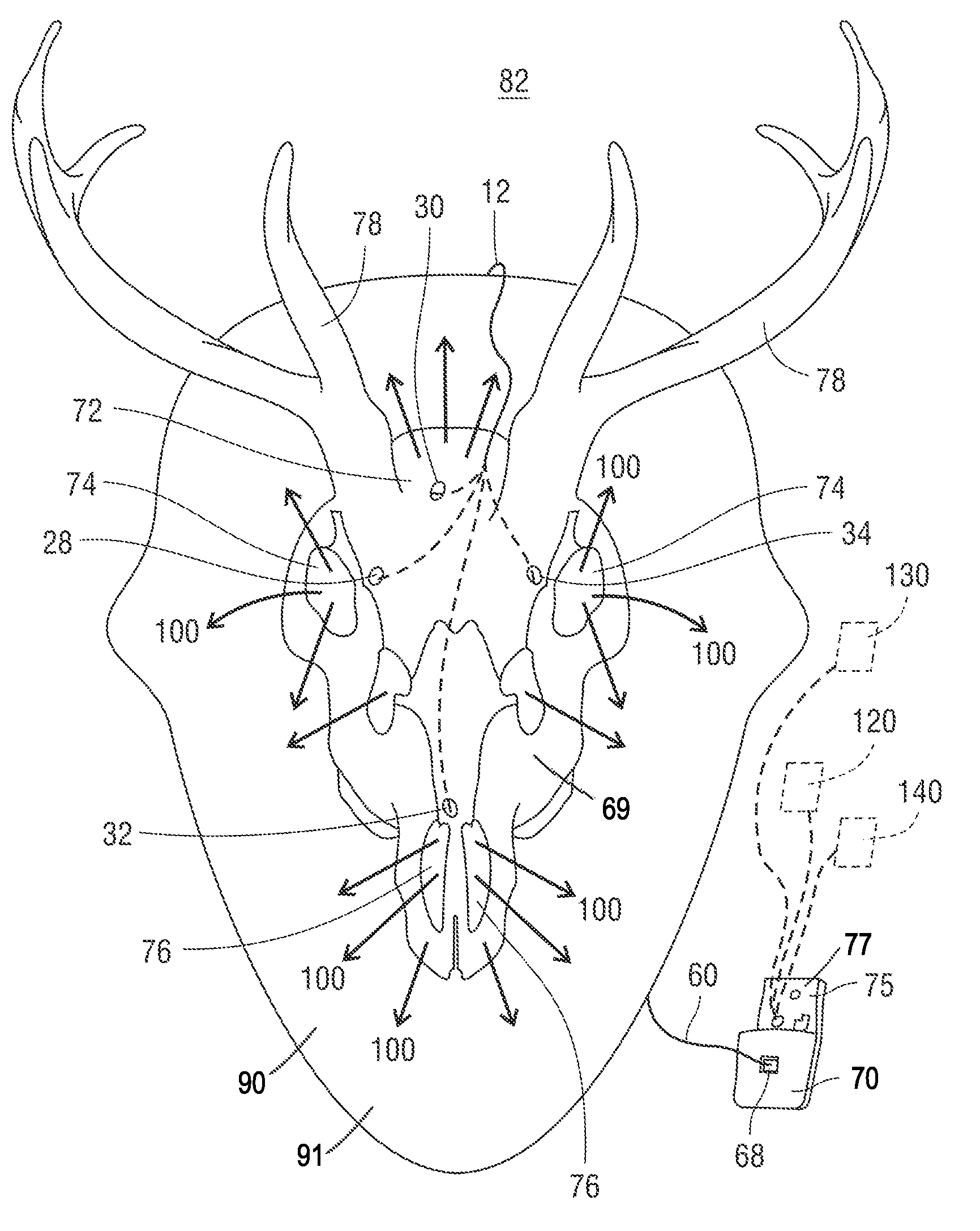 Lighting Apparatus and Method of Skull Lighting