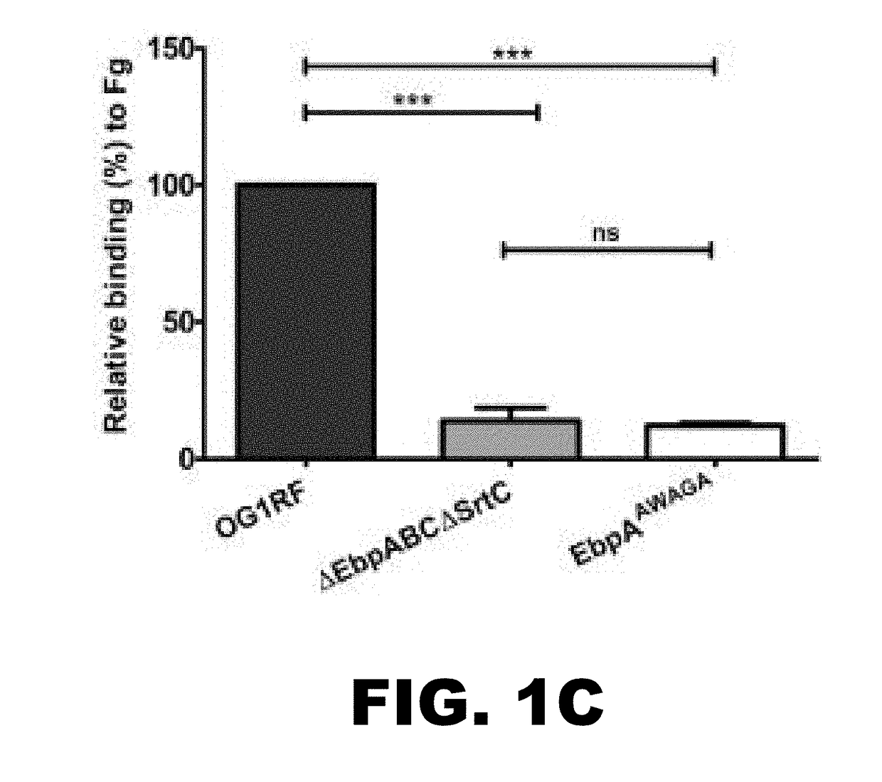 COMPOSITIONS AND METHODS FOR THE TREATMENT AND PREVENTION OF Ebp PILUS-RELATED DISEASES