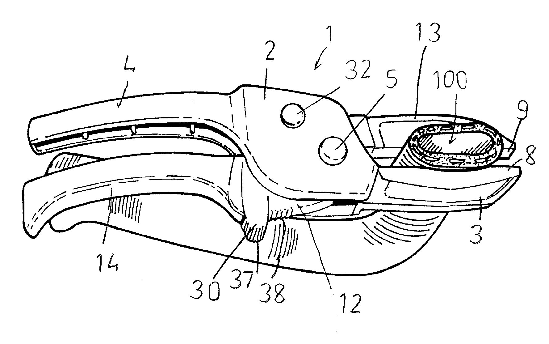 Clamping pliers