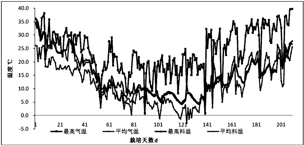 Method for breeding high-temperature resistant strain of stropharia rugosoannulata