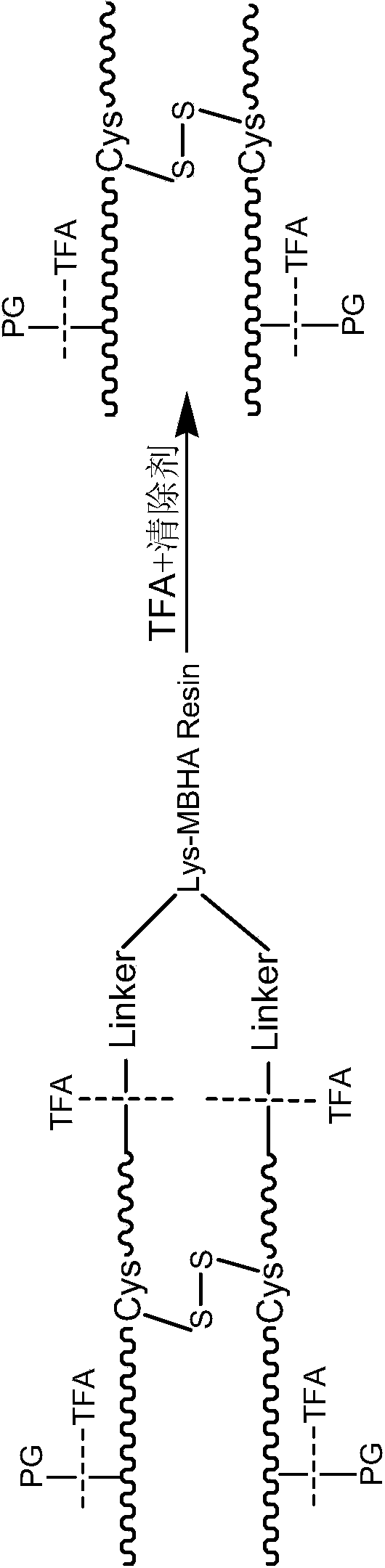 Solid-phase synthesis method for gonadotropin-releasing hormone (GnRH) castration vaccine