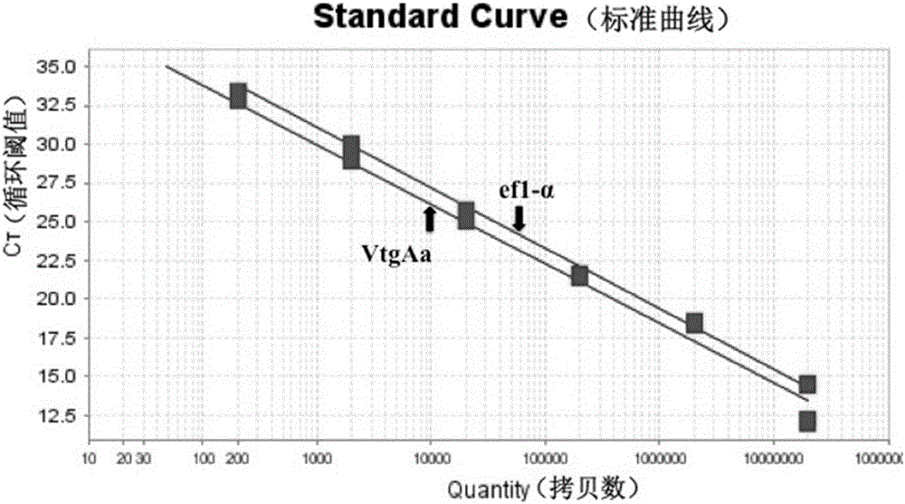 Method for detecting estrogen pollution of water on basis of polymorphic vitellogenin of periophthalmus modestus