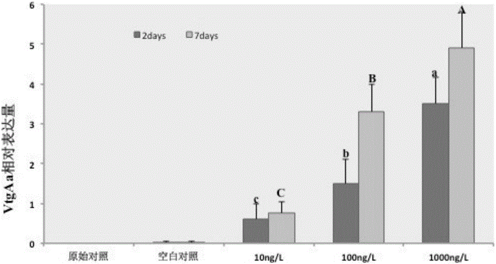 Method for detecting estrogen pollution of water on basis of polymorphic vitellogenin of periophthalmus modestus