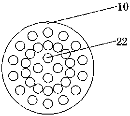 Grape washing device