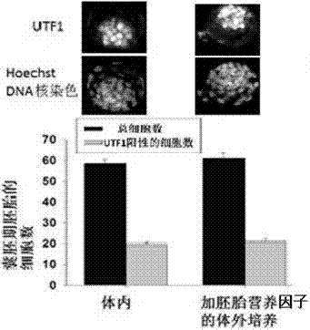 Split-range embryo culture solution and preparation method thereof