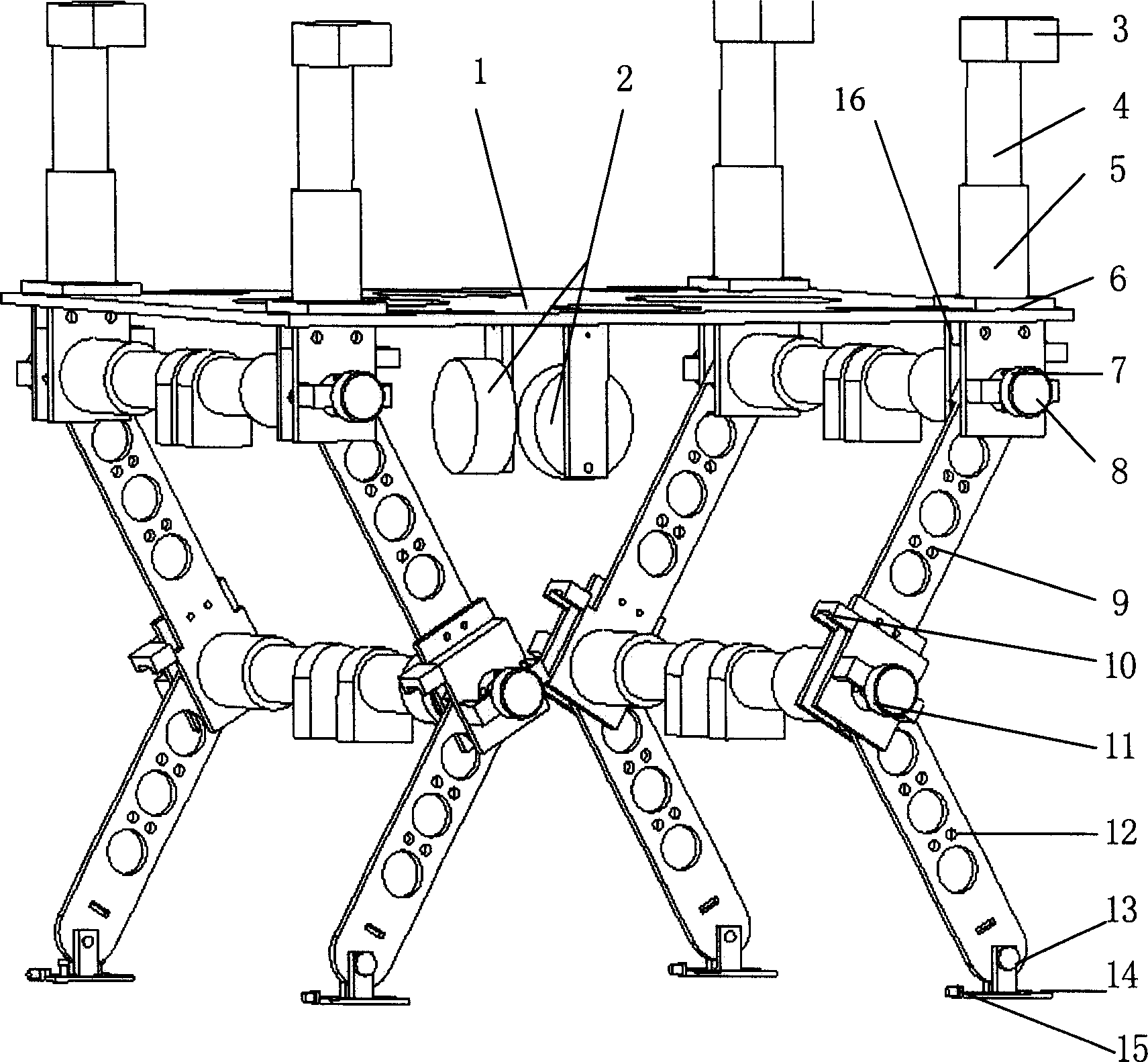 Adjustable for-foot bio-robot motion structure