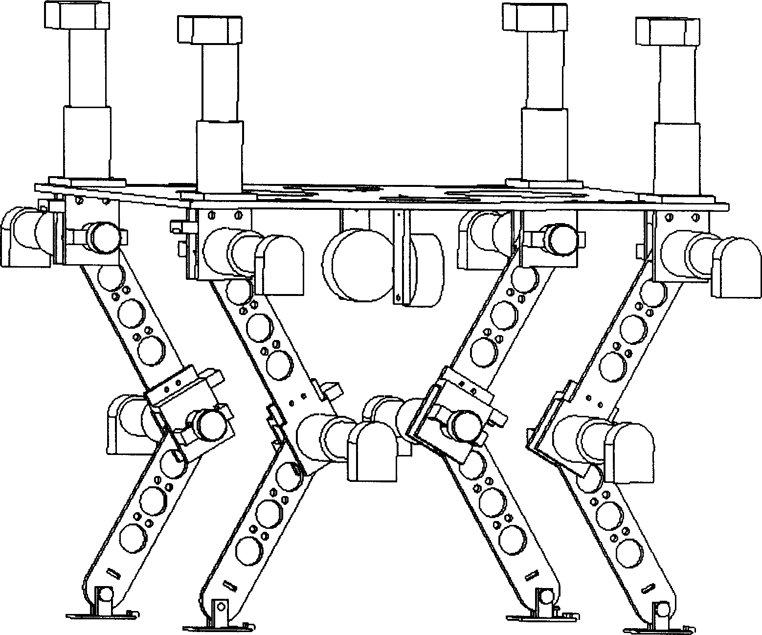 Adjustable for-foot bio-robot motion structure