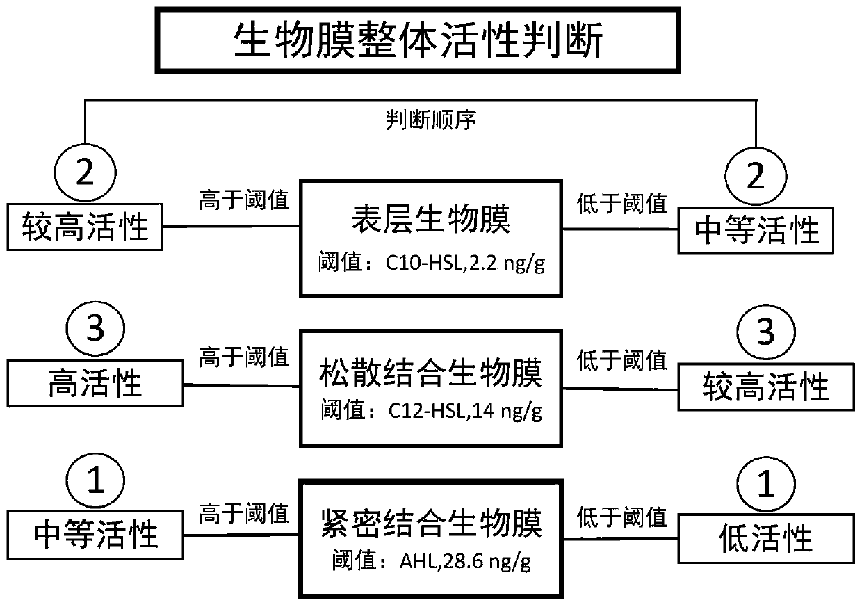 A method for systematically discriminating biofilm activity in wastewater treatment systems