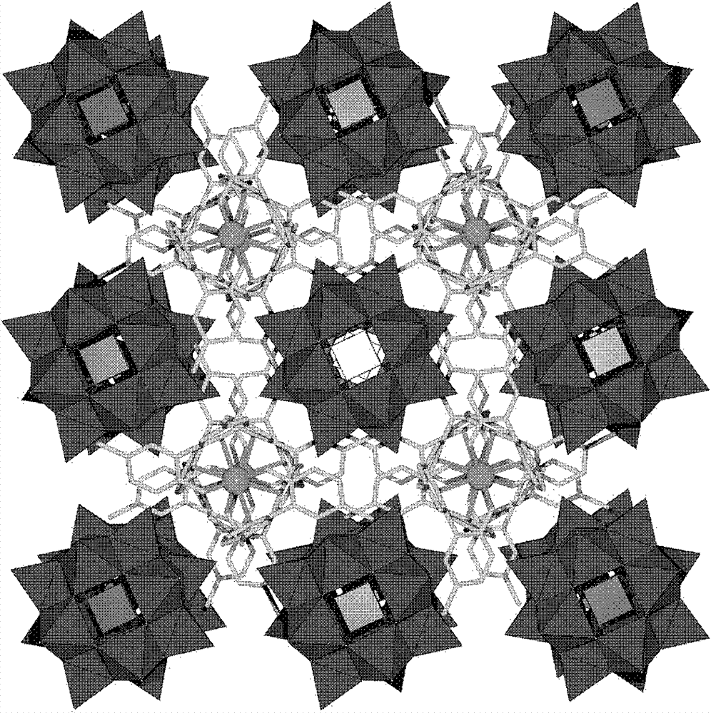 Preparation method of polyacid rare earth ion complex with slow magnetic relaxation behavior