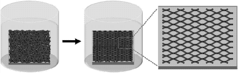 Two-dimensional conjugated polymer and preparation method and application thereof