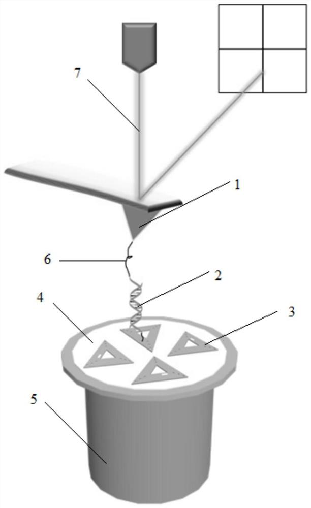 A high-throughput single-molecule force spectroscopy method