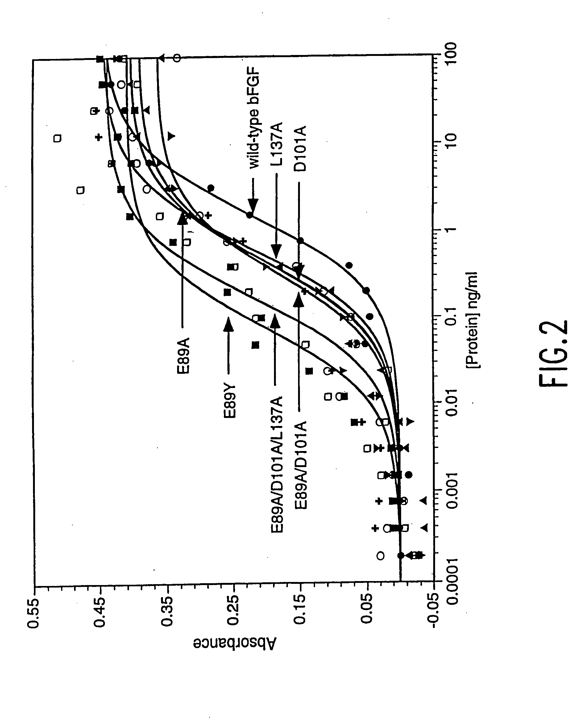 Analogs of human basic fibroblast growth factor mutated at one or more of the positions glutamate 89, asparate 101 or leucine 137