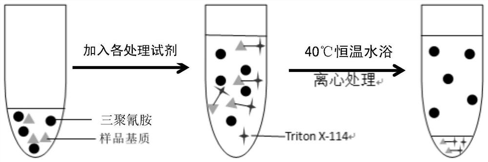 A method for determining the content of melamine in dairy products