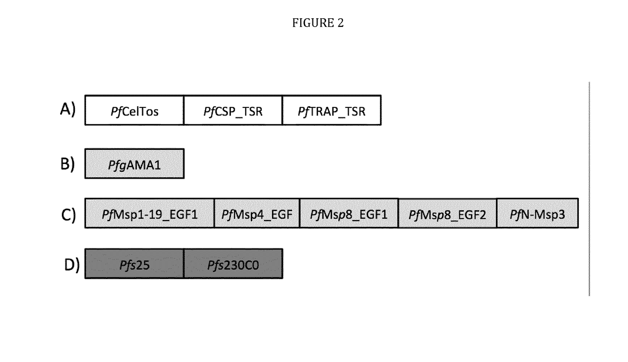 Multi-component-multistage malaria vaccines