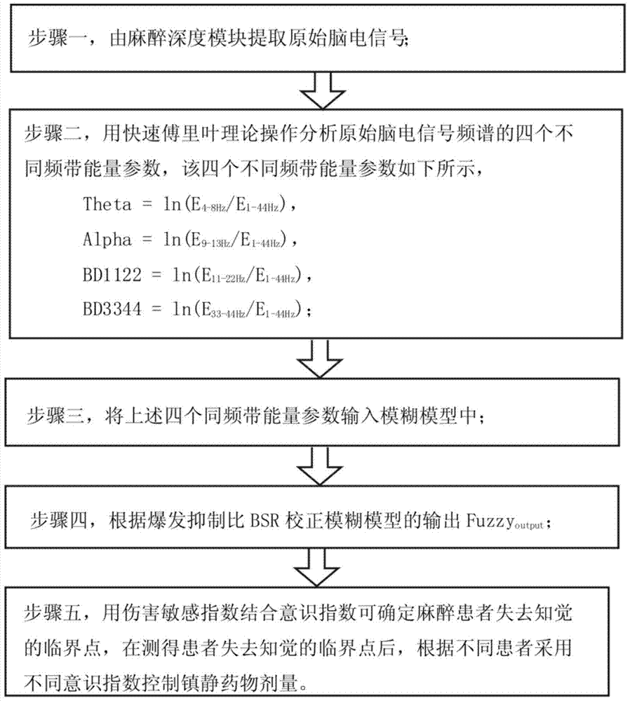 Anesthesia accuracy monitoring instrument and method