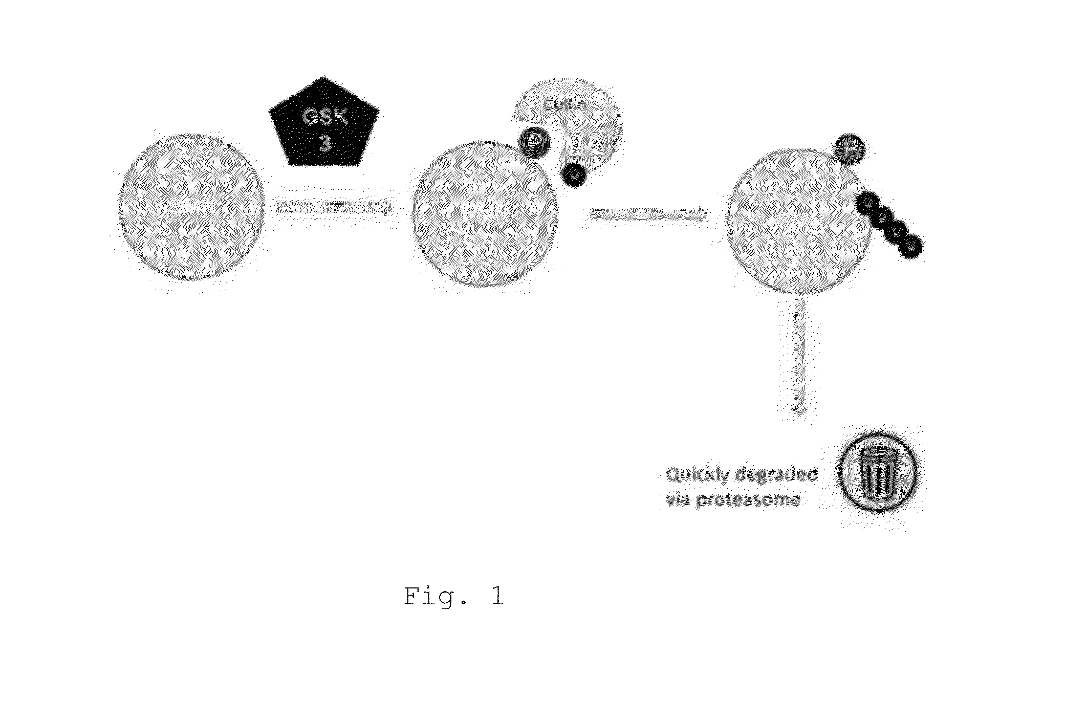 Compounds, compositions and methods for treating or preventing neurodegenerative disorders