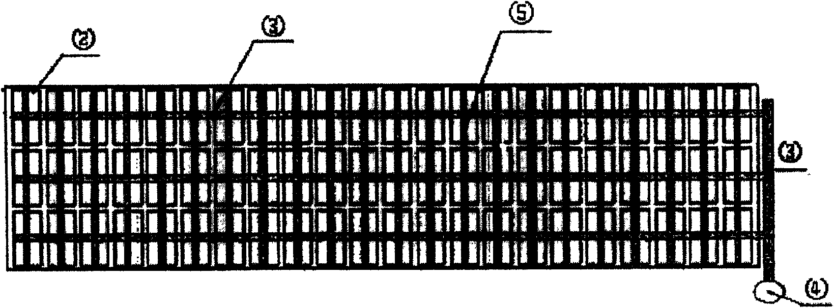 Comprehensive improvement method for salt farm field soil and Vegetation