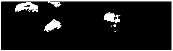 Automatic optical ore identification method