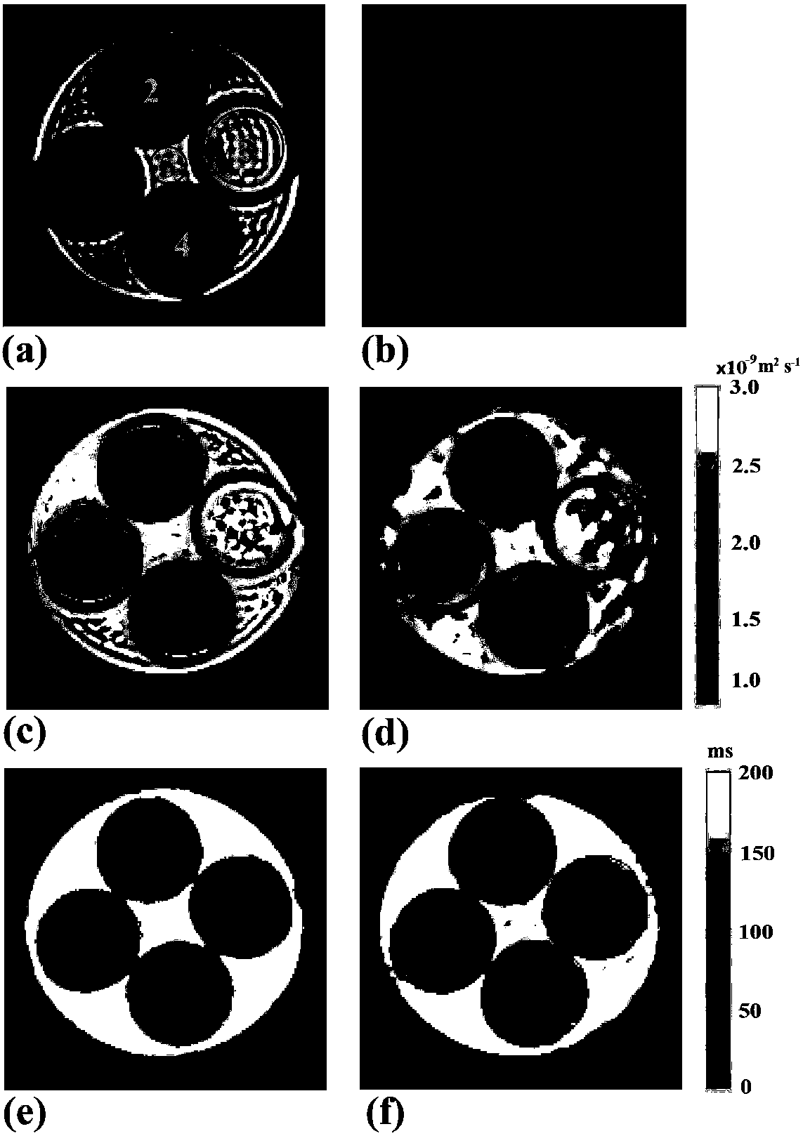 Single-scan synchronous magnetic resonance diffusion and T2 imaging method based on overlapping echoes