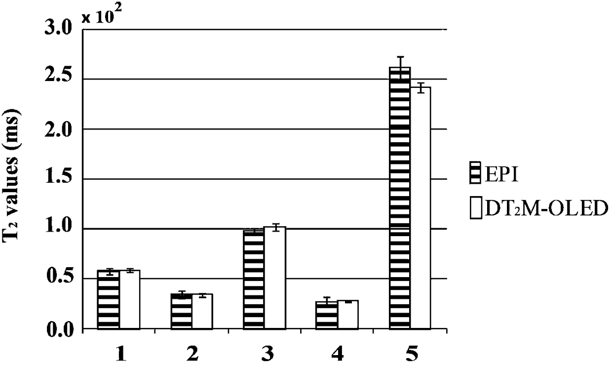 Single-scan synchronous magnetic resonance diffusion and T2 imaging method based on overlapping echoes