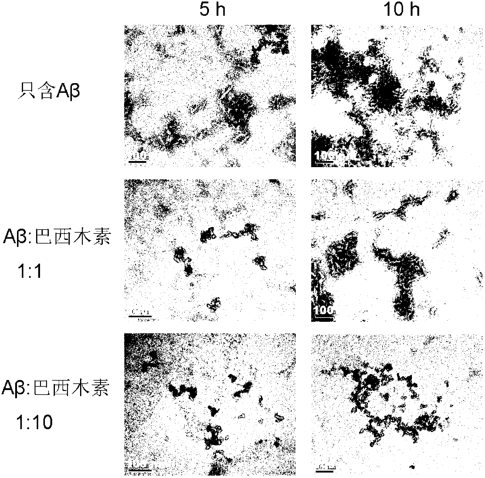 Application of brazilin to preparation of drug or health care product for inhibiting aggregation of beta-amyloid proteins