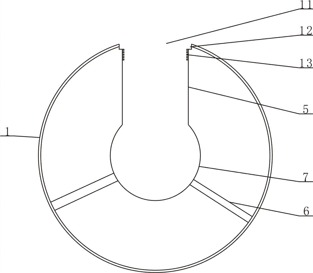 Special throwing type cold weapon for teaching