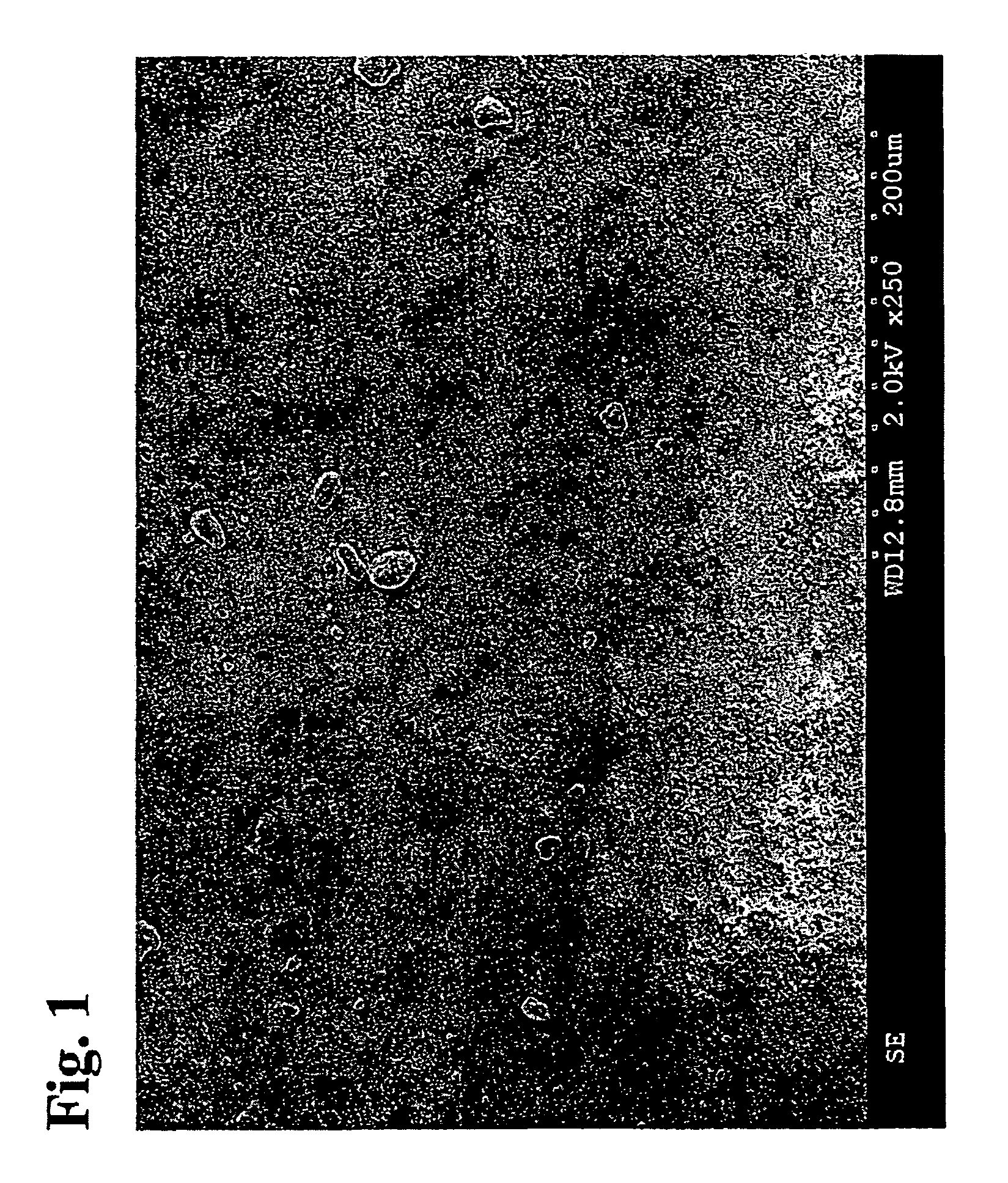 Processing compositions and method of forming the same