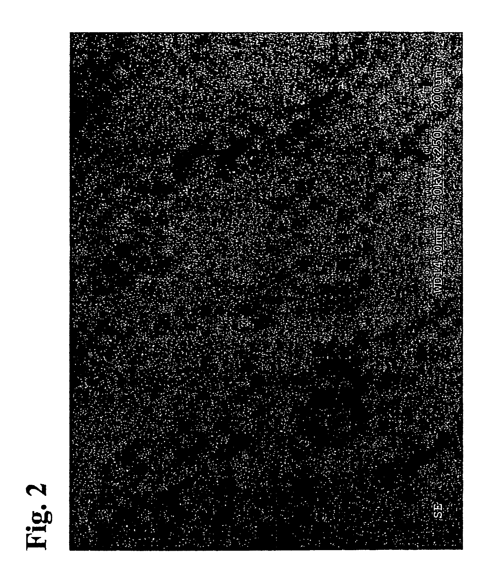 Processing compositions and method of forming the same