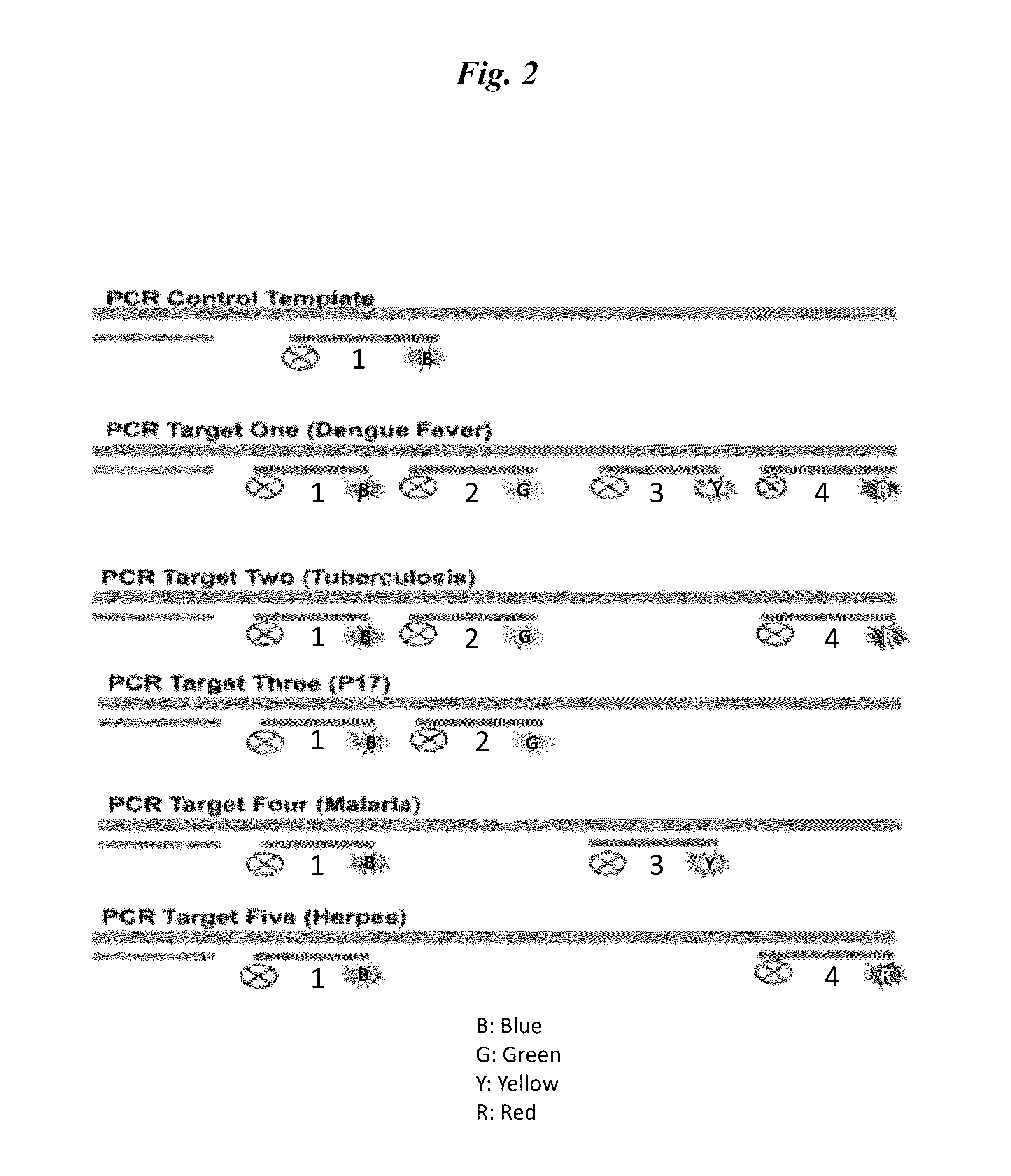 Signal encoding and decoding in multiplexed biochemical assays