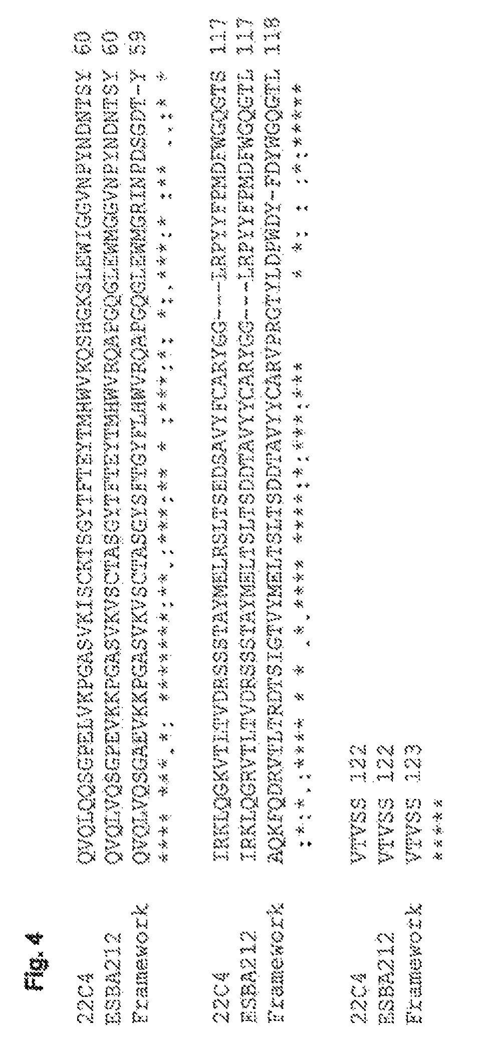 Humanized antibodies against the beta-amyloid peptide