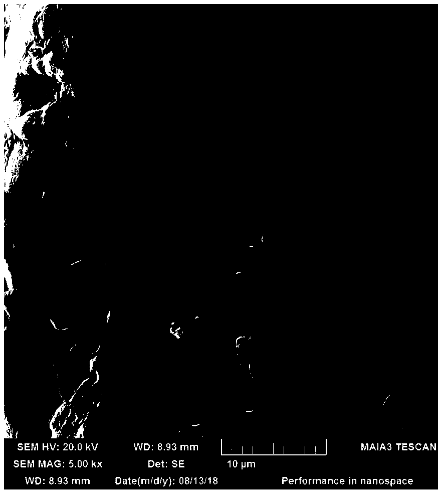 Method for detecting wall breaking rate of plant cells by utilizing field emission scanning electron microscopy