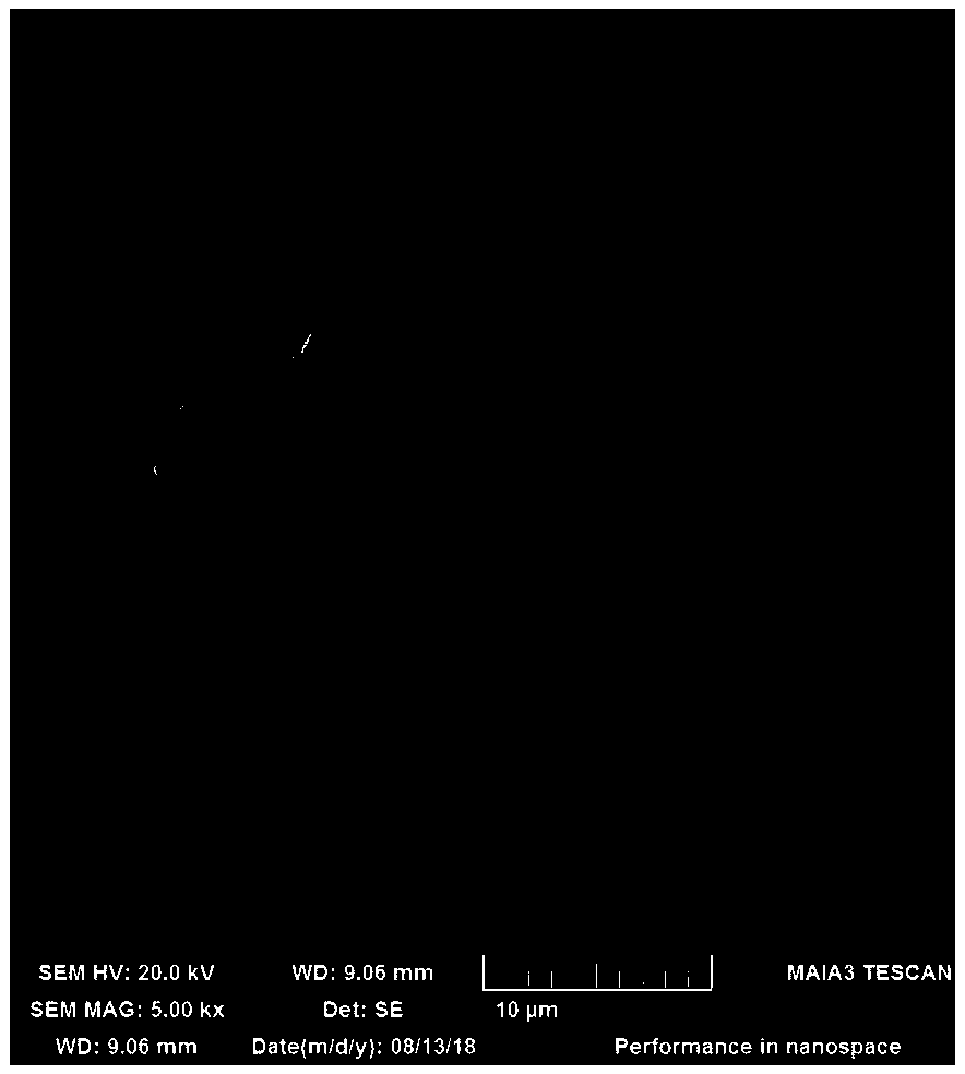 Method for detecting wall breaking rate of plant cells by utilizing field emission scanning electron microscopy