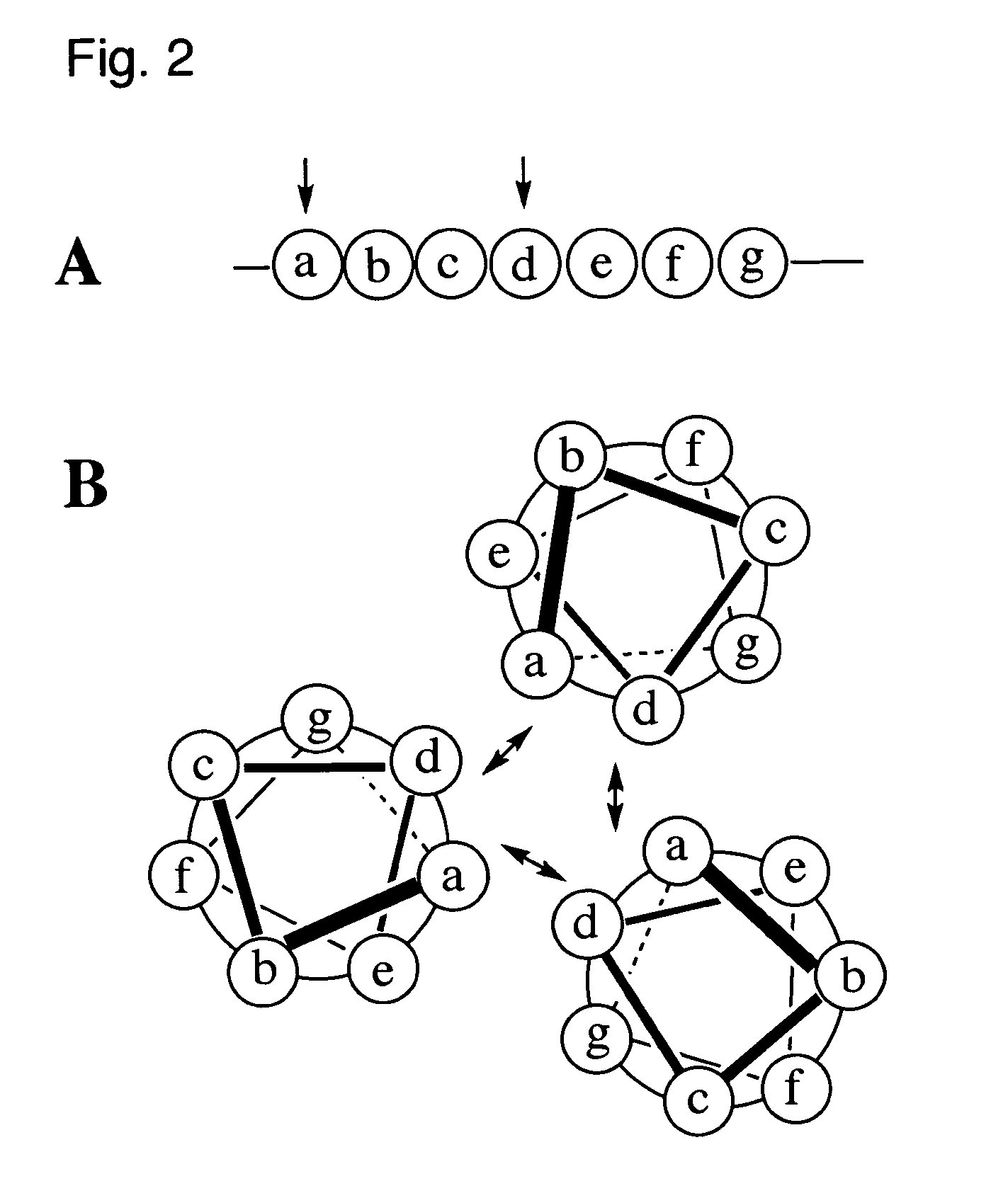 Coiled-coil lipopeptide helical bundles and synthetic virus-like particles