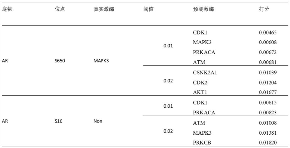 Method for predicting phosphorylation site-specific kinase