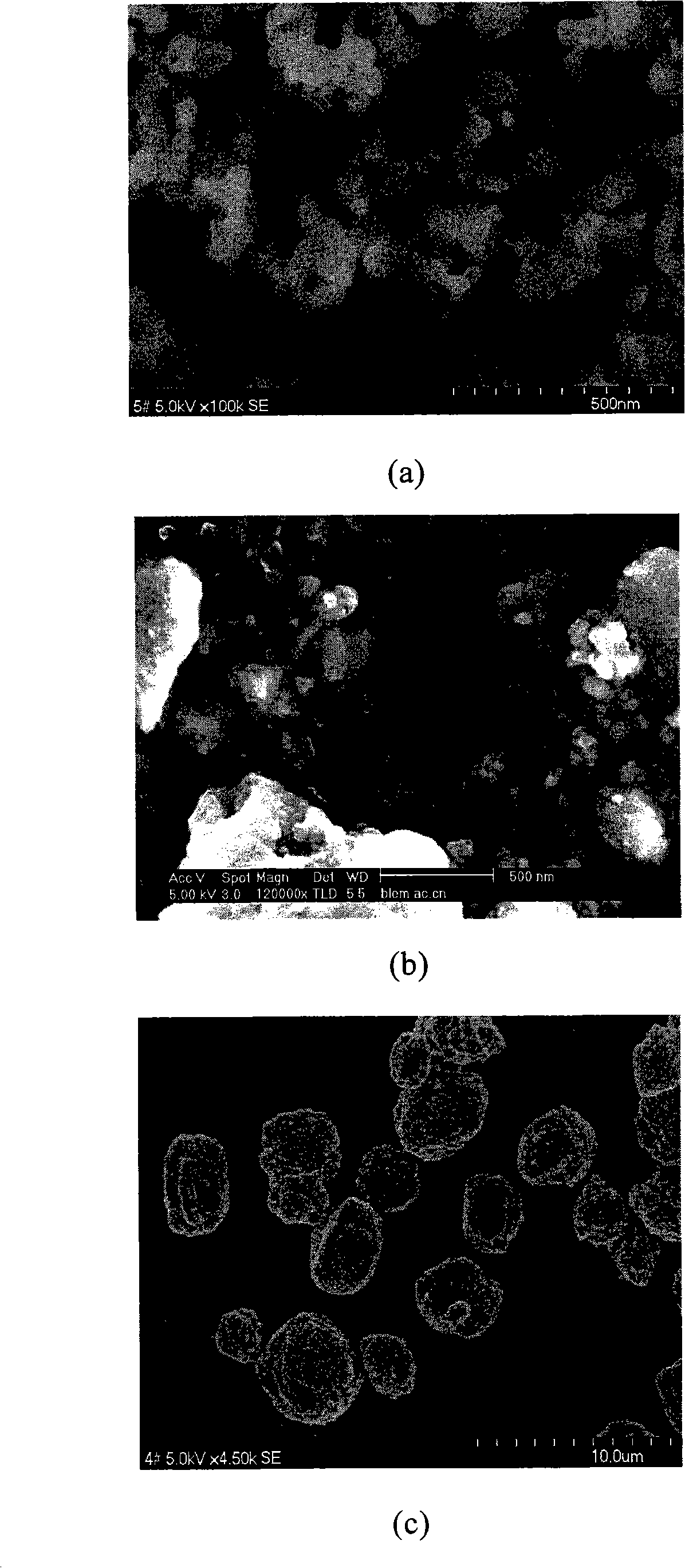 Polar-molecule type electro-rheological fluid and preparation method thereof