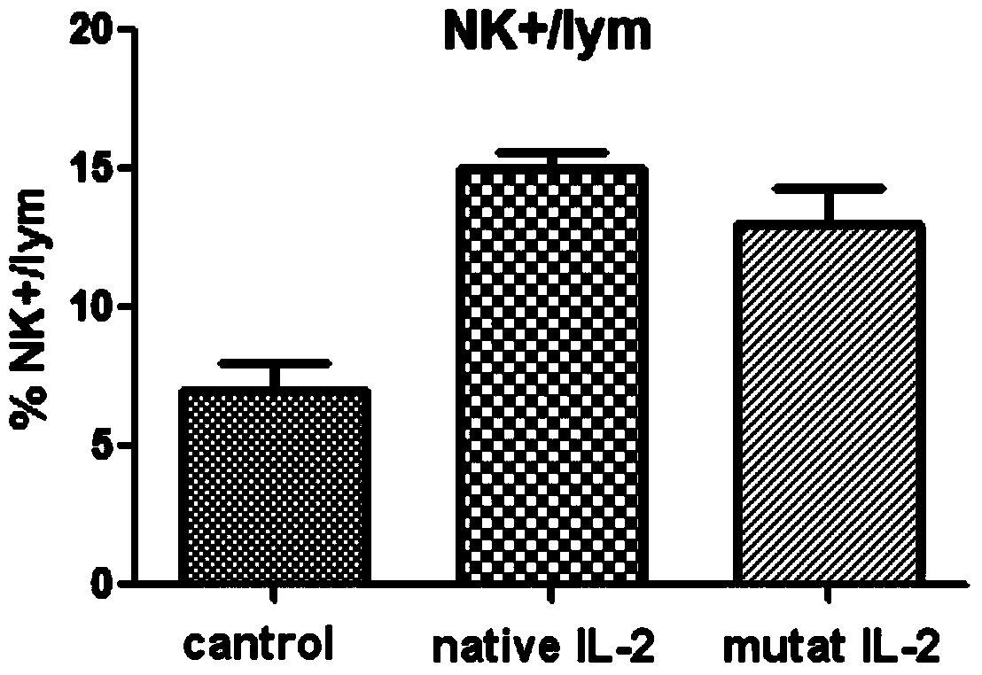 Human interleukin II mutant and application thereof