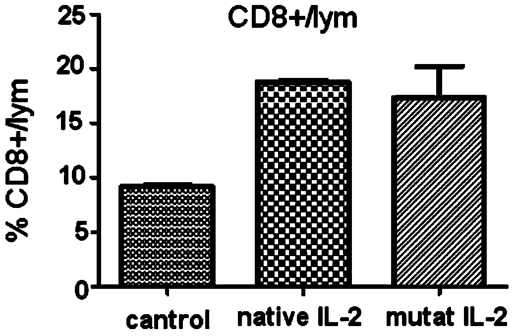 Human interleukin II mutant and application thereof