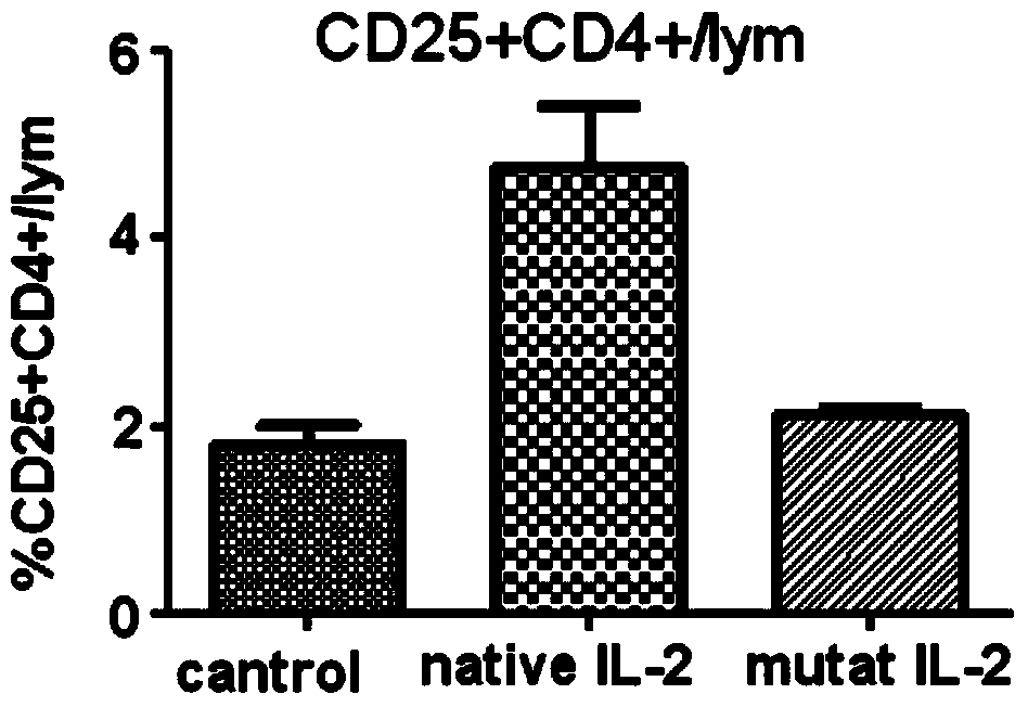 Human interleukin II mutant and application thereof