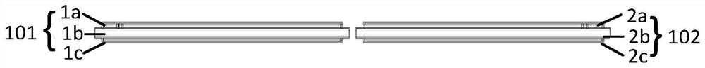 Buck circuit silicon carbide power module