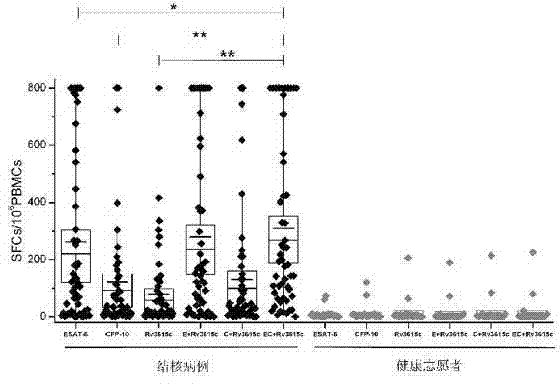 Tuberculosis diagnostic composition and application thereof