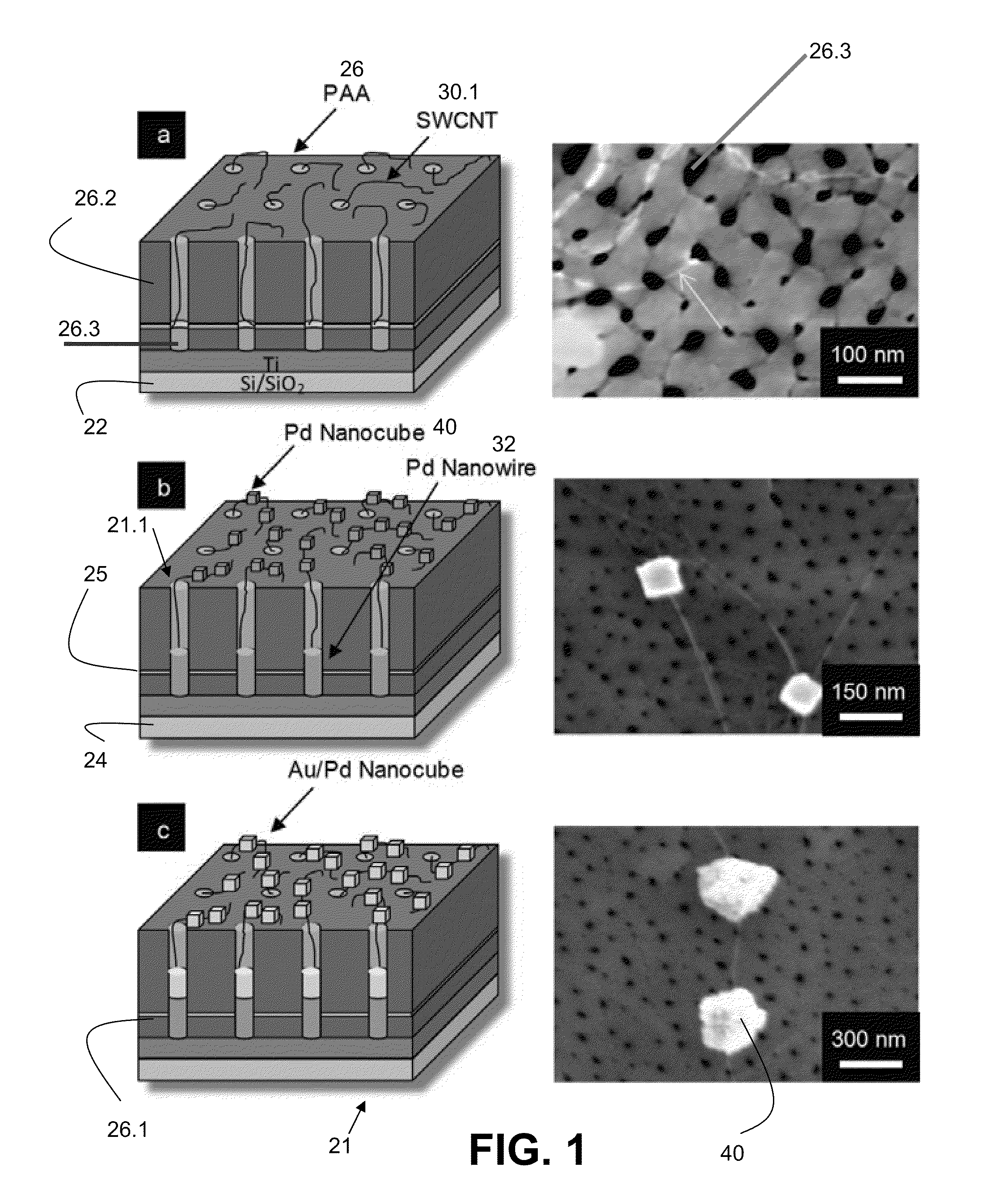 Electrochemical biosensor