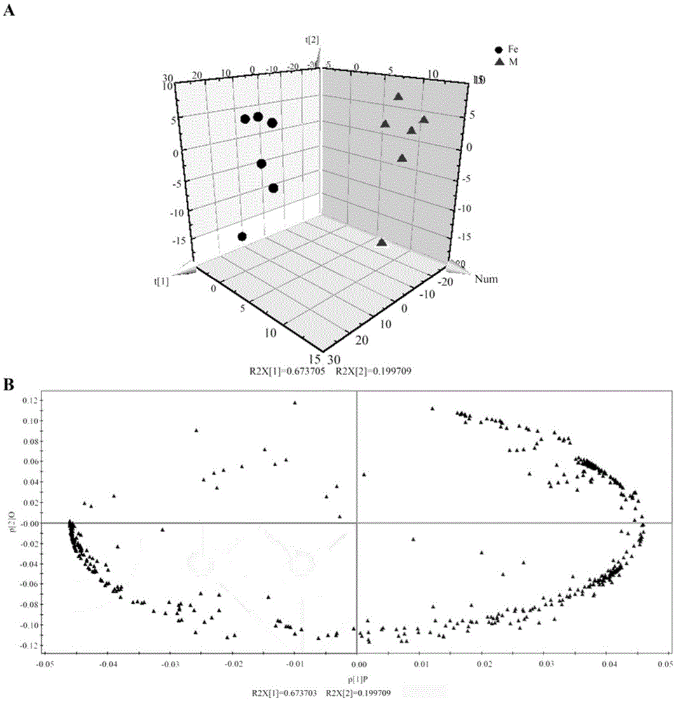 Method for identifying varieties of dendrobium huoshanense and dendrobium officinale based on metabonomics