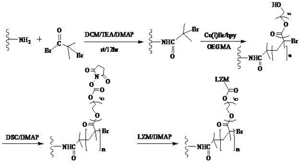 Preparation method and application of sewage purifying medium