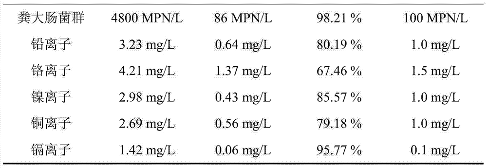 Preparation method and application of sewage purifying medium