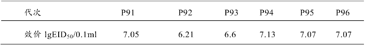 An infectious bronchitis virus low virulent strain, a constructing method thereof and applications of the strain