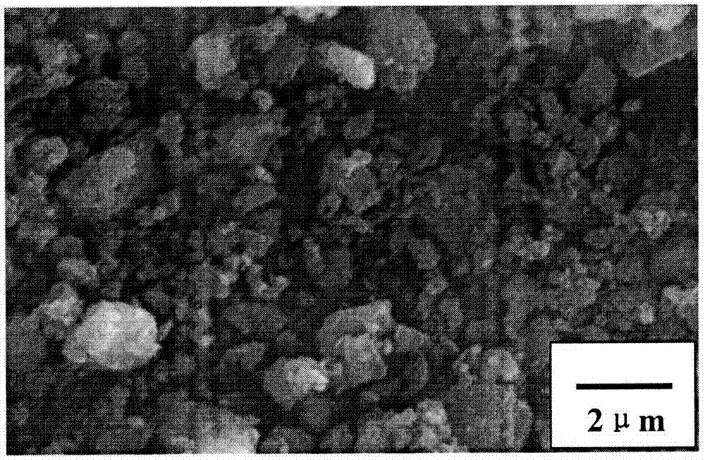 Method for preparing PrTiO3 powder