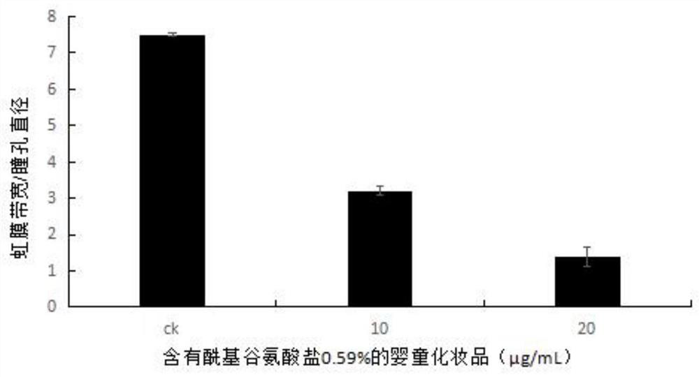 Method for evaluating eye stimulation of infant cosmetics by using zebra fish