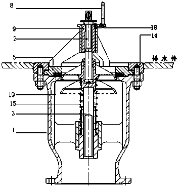 Self-closing non-return emergency valve for deck water draining