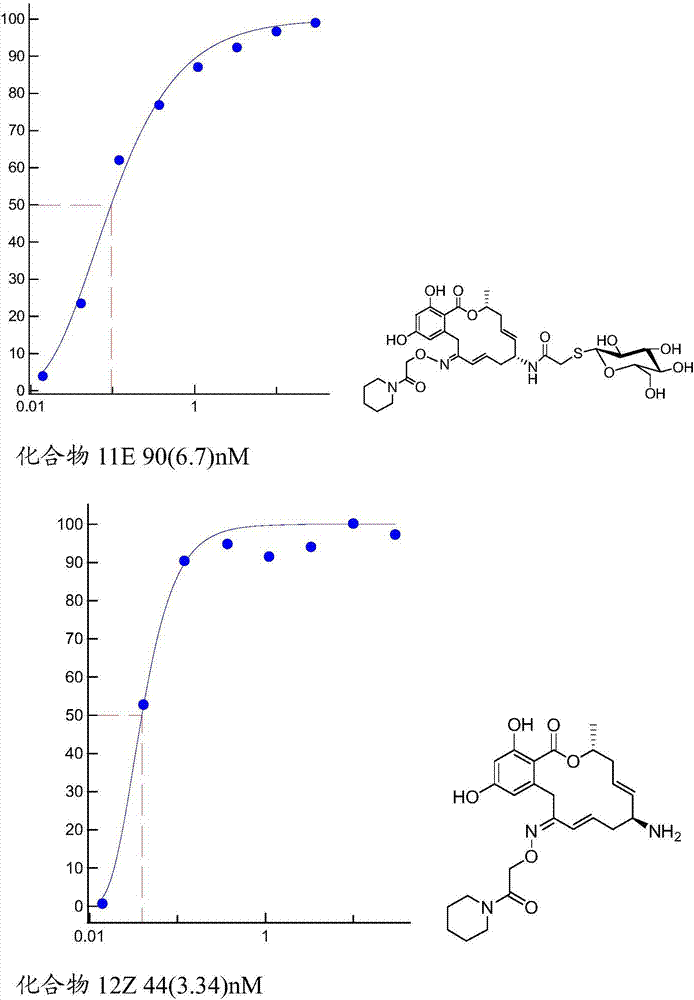 Pochoxime conjugates useful for the treatment of HSP90 related pathologies