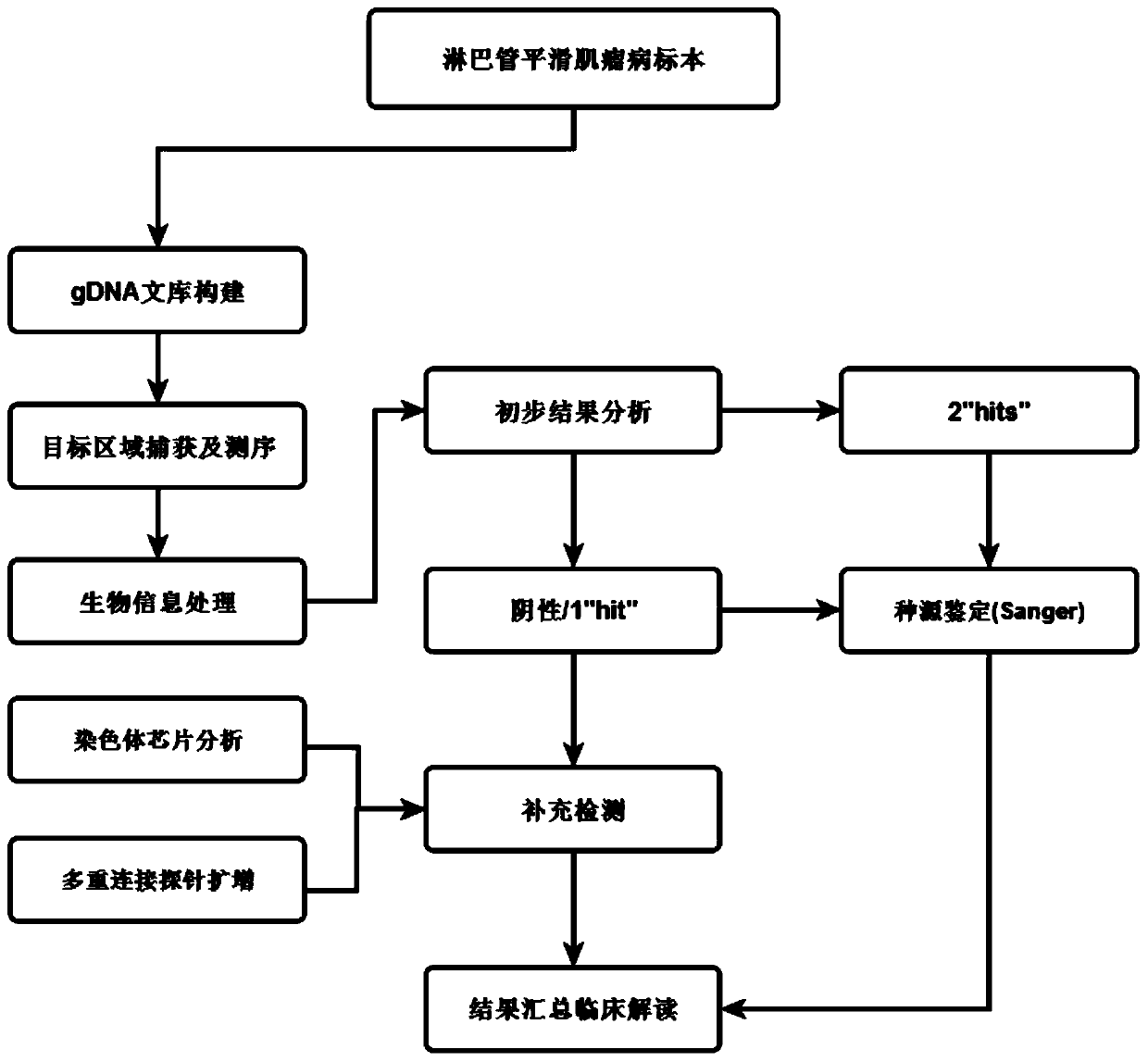 Lymphangiomyoma joint detection method and application thereof